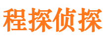 西和侦探公司